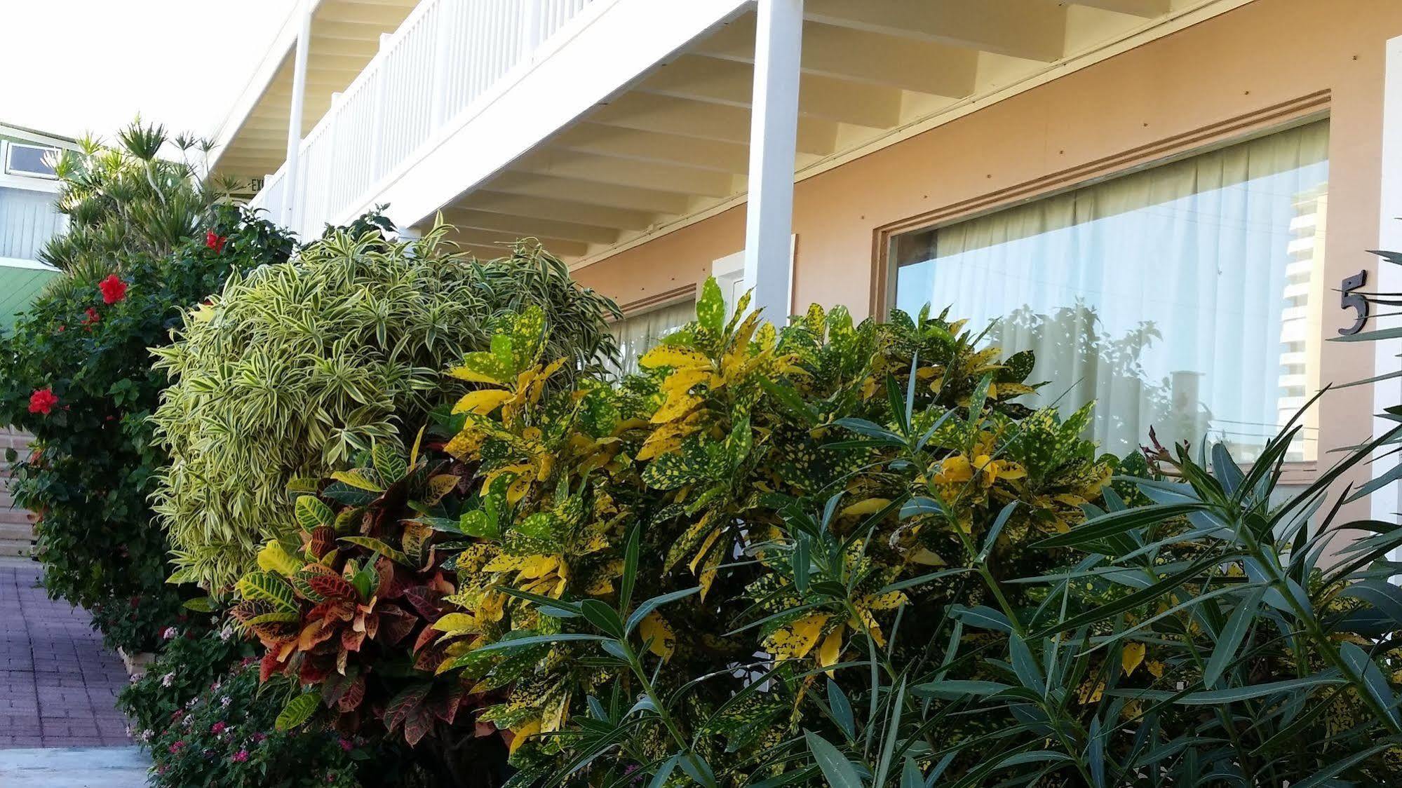 The Palms On Ocean Motel Pompano Beach Dış mekan fotoğraf